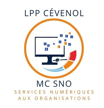 Certificat de Spécialisation Services Numériques aux Organisations